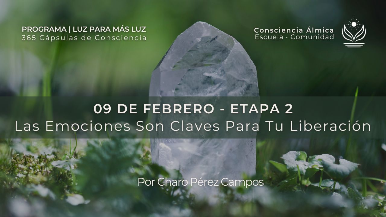 DÍA 9 | LAS EMOCIONES SON CLAVES PARA TU LIBERACIÓN